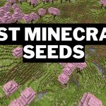 40 Best Minecraft Seeds Ultimate List (2024) Gamerode