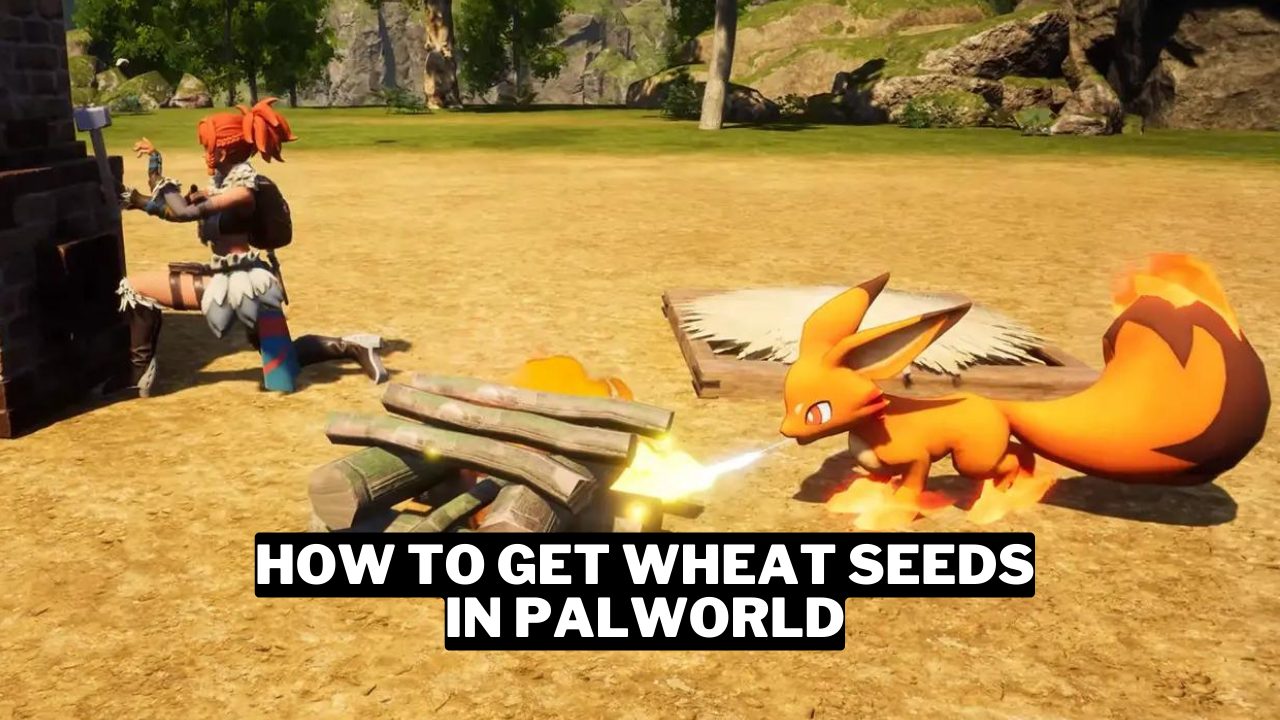 How To Get Wheat And Wheat Seeds In palworld Gamerode