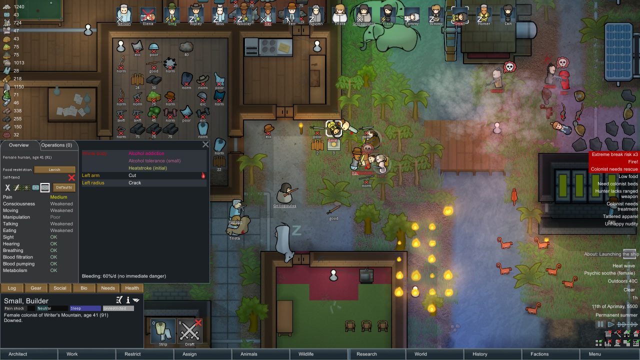 30 Best Management Games 2024 Rimworld