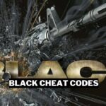 Black Cheat Codes And How To Cheat On Ps2 Or Xbox Gamerode