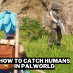 How To Catch Humans In Palworld Gamerode