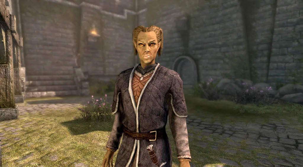 25 Best Skyrim Wives And How To Marry Them Taarie