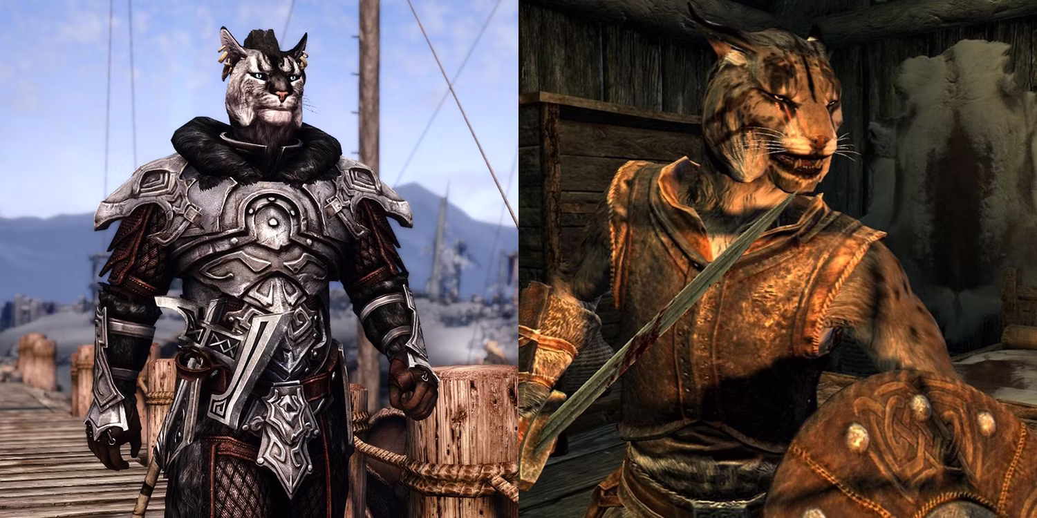 Skyrim Every Playable Race Explained Kajit