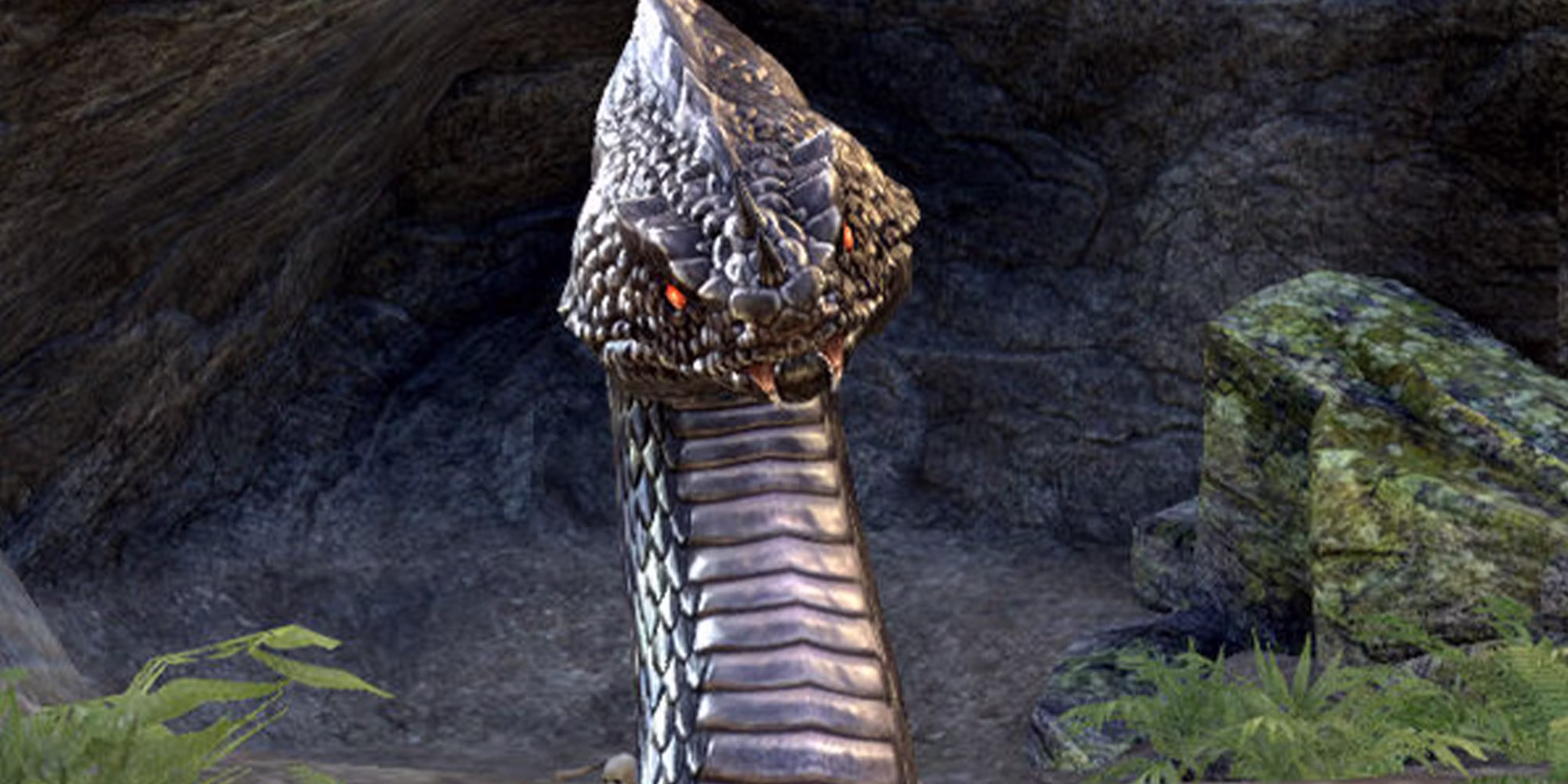 10 Best Snakes In Video Games Elder Scrolls
