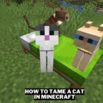 How To Tame A Cat In Minecraft Gamerode