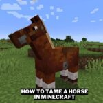 How To Tame A Horse In Minecraft Gamerode